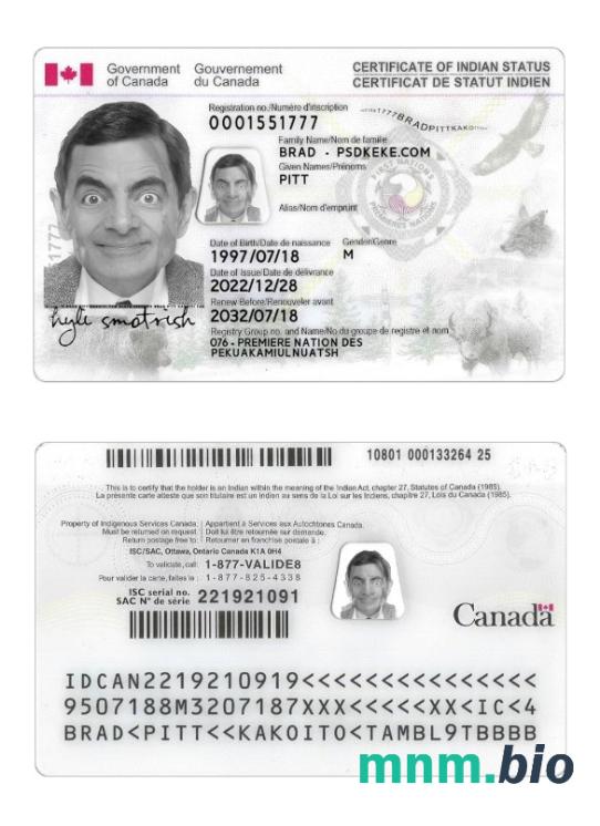 Przykład karty statusu Indianina Kanady w formacie PSD, w pełni edytowalny